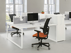 Carbone O