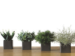Lot de 4 mini plantes artificielles square H22 cm