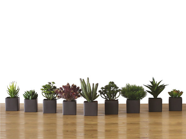 Lot de 9 mini plantes artificielles cube H14 cm