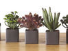 Lot de 9 mini plantes artificielles cube H14 cm