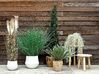 Plante artificielle La Pampa H130 cm