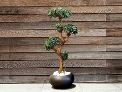 Arbre artificiel Podocarpus H150 cm