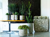 Plante artificielle Cactus Euphorbe H165 cm