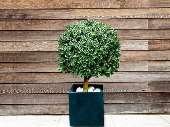 Buis artificiel H105 cm