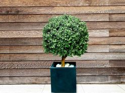 Buis artificiel H105 cm
