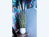 Plante artificielle La Pampa H130 cm