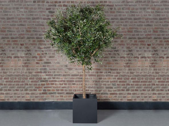 Olivier artificiel H230 cm