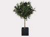 Olivier artificiel H230 cm
