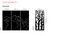 Suspension acoustique Eclipse