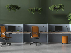 Espace de travail collectif acoustique My World