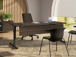 Bureau de direction Adéma