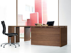 Bureau de direction Lithos
