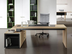 Bureau de direction Vitam sur crédence