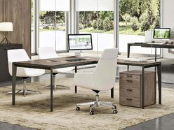 Bureau de direction Oméga