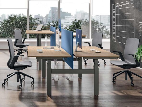 Bureau bench 2 personnes Apollo avec réglage en hauteur électrique