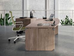 Bureau de direction Corpus Wood