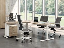 Bureau individuel Alérion