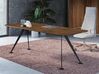 Bureau de direction Spike