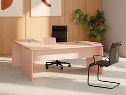 Bureau de direction Xénion