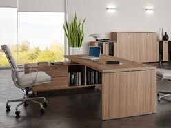 Bureau de direction Fiona sur crédence