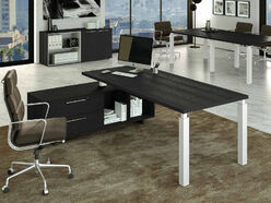Bureau de direction Dalia sur crédence