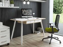 Bureau télétravail Horizon