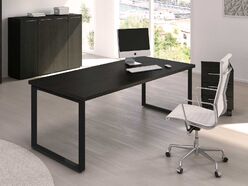 Bureau de direction Rosa