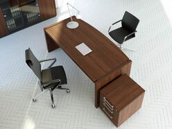 Bureau de direction Status
