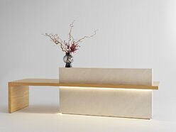 Banque d’accueil Olympe avec accès PMR