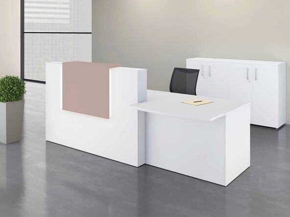 Banque d'accueil Adélis avec accès PMR et réhausse en stratifié