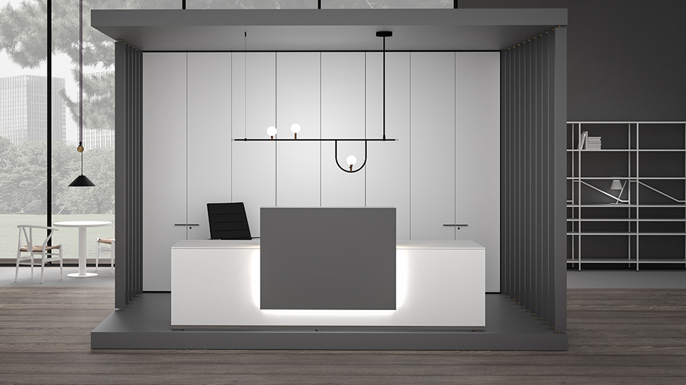 Aménagement d'accueil Lux