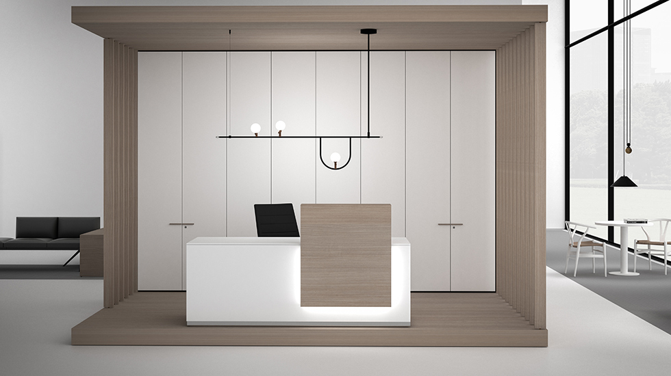 Aménagement d'accueil Lux