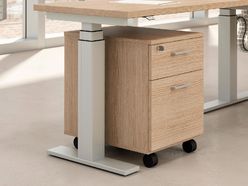 Caisson mobile 2 tiroirs Etner