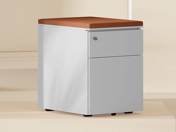 Caisson mobile métallique 2 tiroirs Elyos