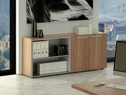 Ensemble d'armoire de direction Exmob