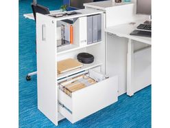 Armoire extractible MDD L40 P80 H113