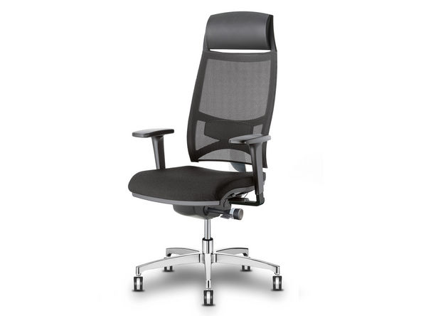 Siège ergonomique Dorsalis