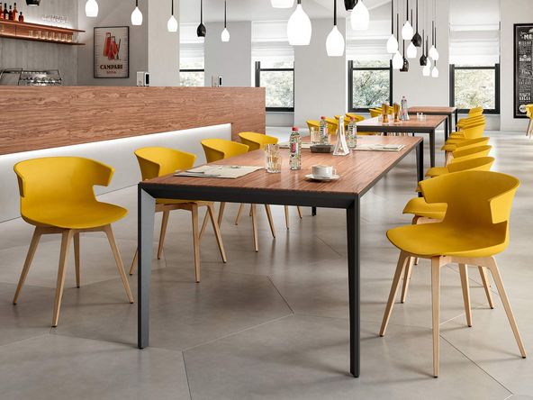 Lot de 2 chaises polyvalentes Dextra pieds bois