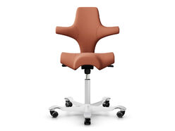 Siège ergonomique Capisco