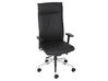 Fauteuil de direction Lynx