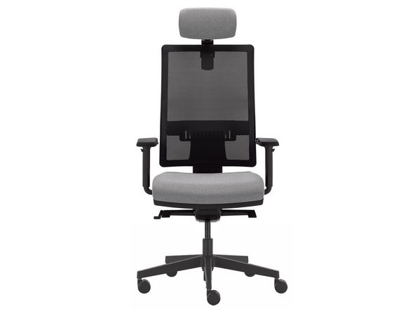 Siège ergonomique Delta