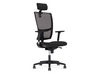 Fauteuil ergonomique Borelli