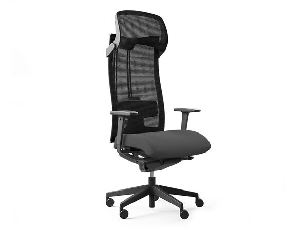 Fauteuil grand gabarit Action