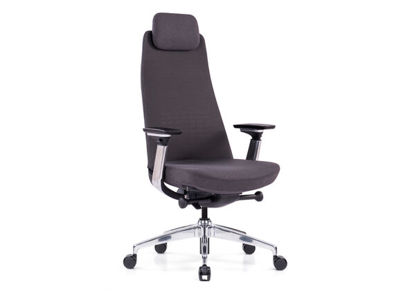 Siège ergonomique Ace