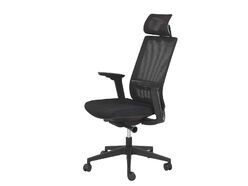 Fauteuil de bureau ergonomique GLOBELINE - Noir - Delex Mobilier