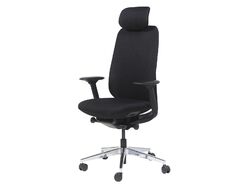 Siège ergonomique Webtech