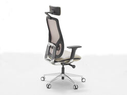 Fauteuils de direction